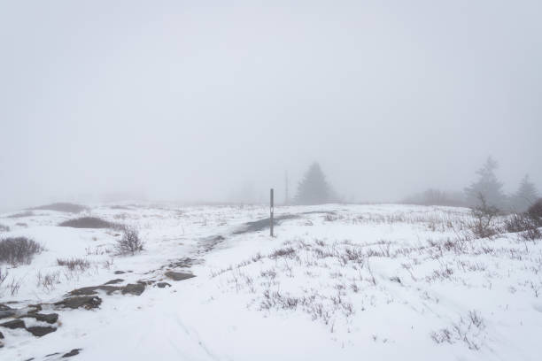 wandern auf dem appalachenweg am roan mountain im schnee - cherokee north carolina asheville blue ridge parkway stock-fotos und bilder