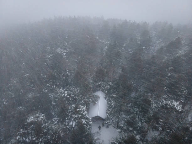 겨울피스가 국유림의 대피소 공중보기 - blue ridge mountains north carolina pine tree hiking 뉴스 사진 이미지