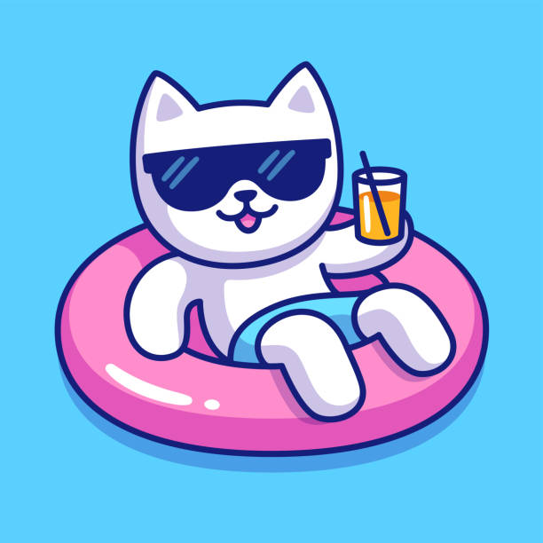 ilustrações de stock, clip art, desenhos animados e ícones de cartoon cat pool float vacation - summer swimming beach vacations