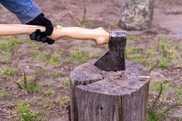 istock An axe in the hands of a man 1300901714