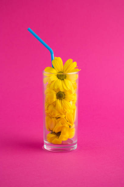 istock Creative composition with yellow flowers in a glass and a straw on a pink background. Valentines or woman's day background design. 1300904237