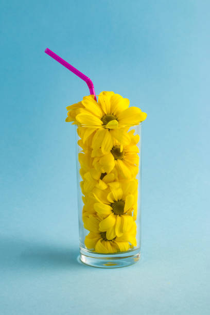 Creative composition with yellow flowers in a glass and a straw on a light blue background. Valentines or woman's day background design.