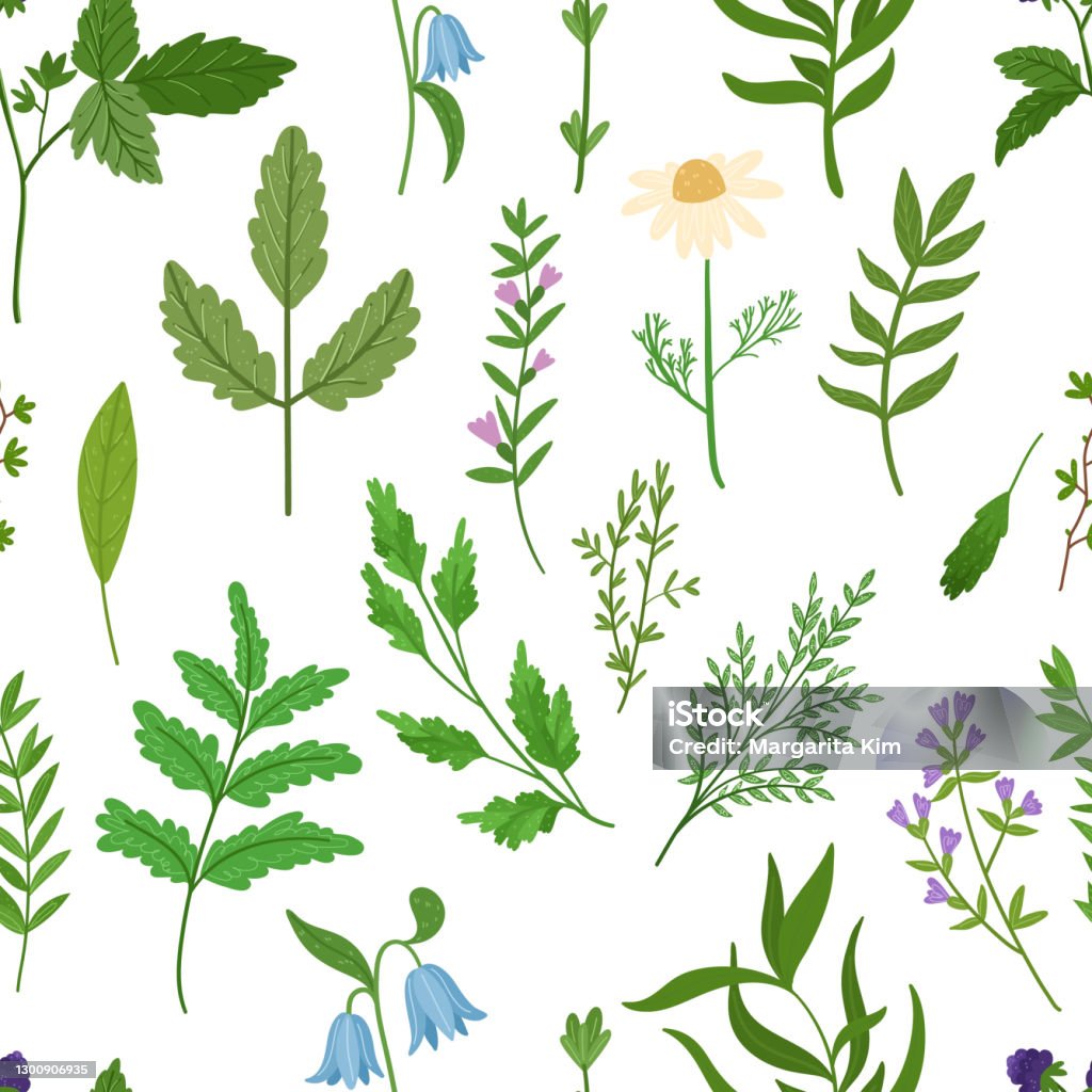 Botany Stock Image Web Stock Illustration - Download Image Now - Botany, Bunch of Flowers ...