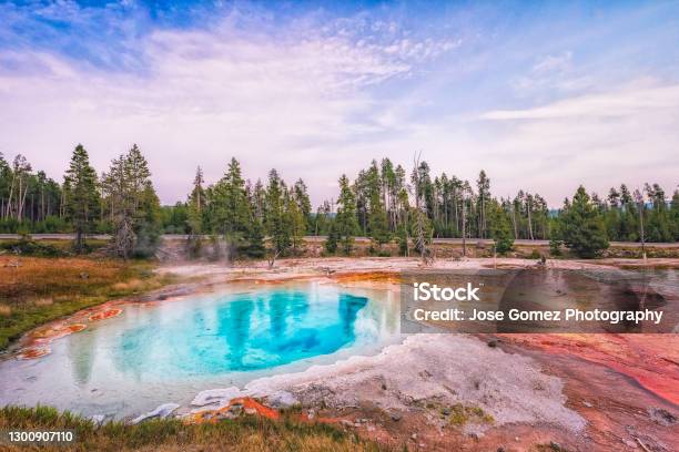 Yellowstone National Park Wyoming Usa Summertime Stock Photo - Download Image Now