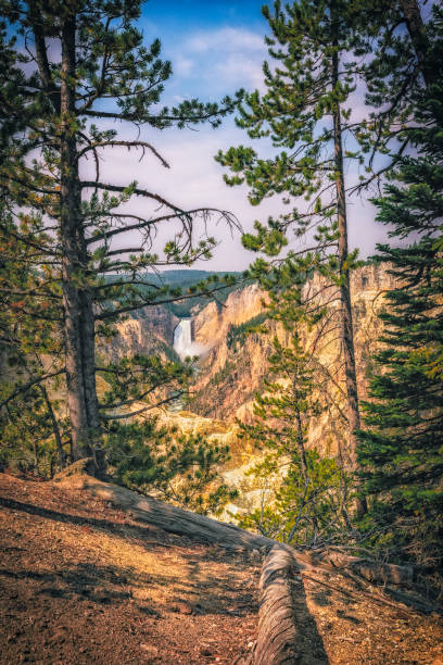 イエローストーン国立公園 - ワイオミング州 - アメリカ、夏(2018年8月) - yellowstone national park hat blue lake ストックフォトと画像