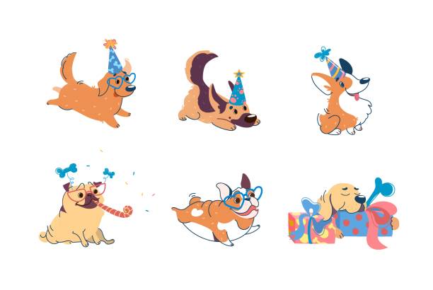 hunde haben geburtstag. welpen verschiedener rassen auf einer party: labrador, corgi, deutscher schäferhund, mops, american bulldog, retriever. auf hundemützen, gläser. set im cartoon-stil für das design der partei. - color image retriever illustration technique horizontal stock-grafiken, -clipart, -cartoons und -symbole