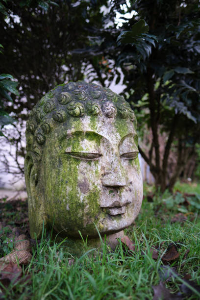 istock Close-up of Buddha statue in a garden. 1300908508