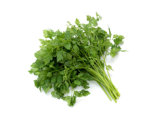 červil di erbe - green food chervil herb foto e immagini stock