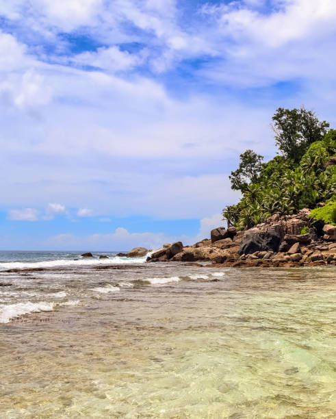 istock Sunny day beach view on the paradise islands Seychelles 1300911536