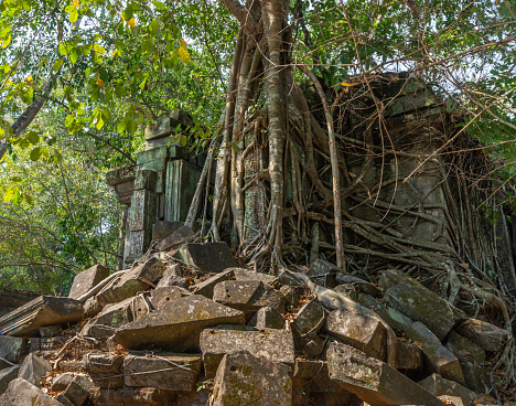 Siem Reap, Cambodia - January 23, 2020: Beng Mealea is largely unrestored Hindu temple with some  Buddhist motifs. It was built during the reign of king Suryavarman II in the early 12th century and it is contemporary to Angkor Wat.