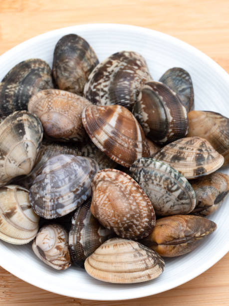 istock Raw Japanese clams 1300914274