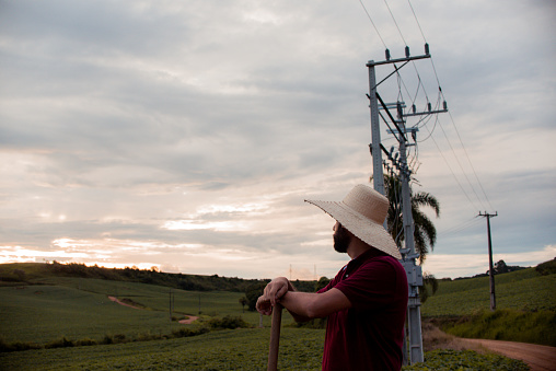 Campo Magro, Paraná, Brazil - Man looking at his plantation.