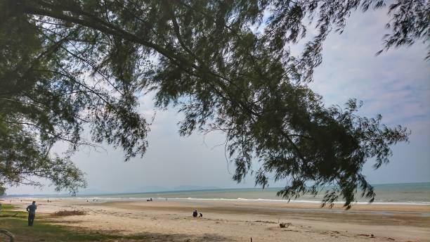istock Tanjung Sepat, Pahang (Pantai Sepat) in Malaysia 1300920049