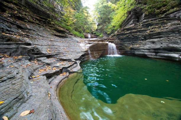 istock Finger Lakes - Ithaca, New York - Wilderness 1300920142