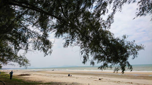 istock Tanjung Sepat, Pahang (Pantai Sepat) in Malaysia 1300920804