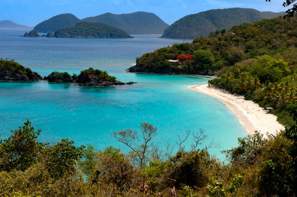istock St John, US Virgin Islands, Trunk bay scenic view from above 1300921741