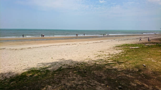 istock Tanjung Sepat, Pahang (Pantai Sepat) in Malaysia 1300922668