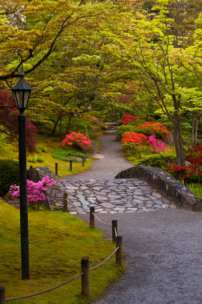 istock Vibrant, lush colors at Seattle Japanese Gardens in springtime 1300926963