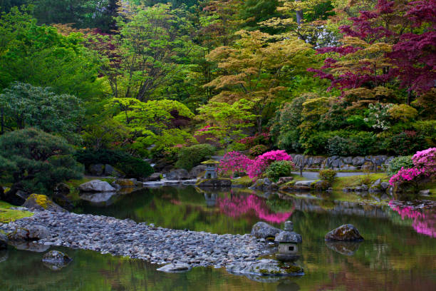 Vibrant, lush colors at Seattle Japanese Gardens in springtime