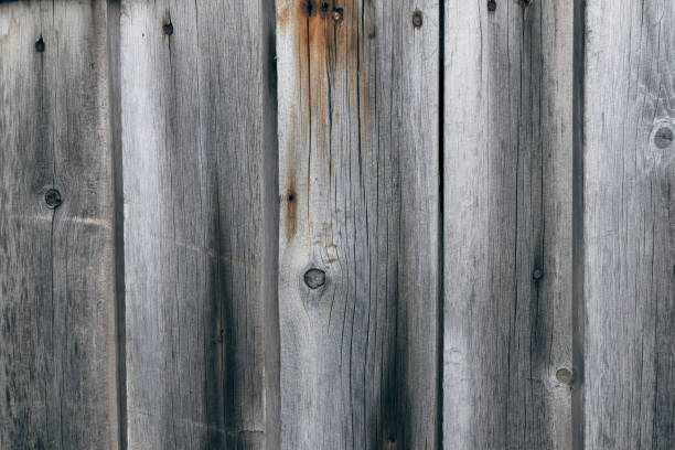 istock Old textures wooden peeled board with nails 1300934244