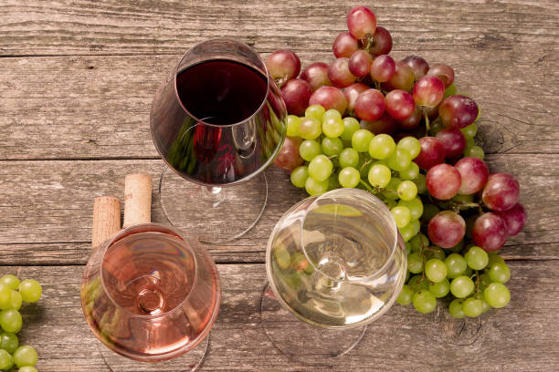 istock Variety of wine 1300935452