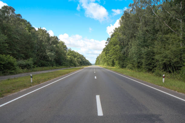 istock The road passing through the forest. 1300938474