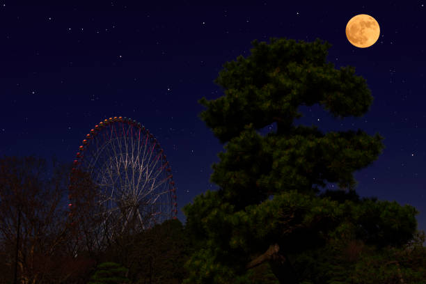 istock Full moon rising over the Ferris Wheel and pine tree 1300939415