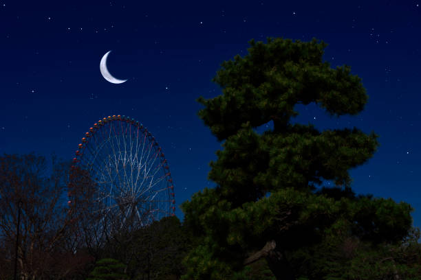 istock Crescent moon rising over the Ferris Wheel and pine tree 1300939419