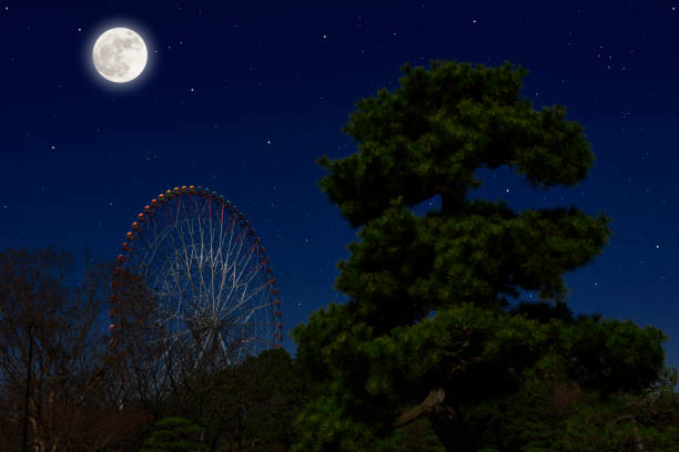 istock Full moon rising over the Ferris Wheel and pine tree 1300939428