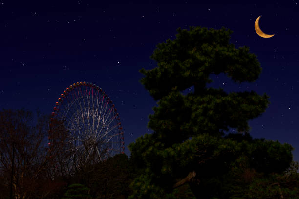 istock Crescent moon rising over the Ferris Wheel and pine tree 1300939436