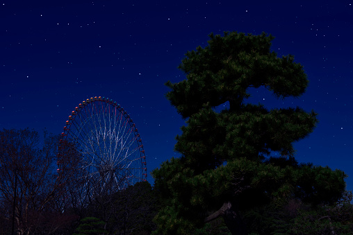 Lots of shiny stars over the Ferris Wheel and pine tree with copy space.