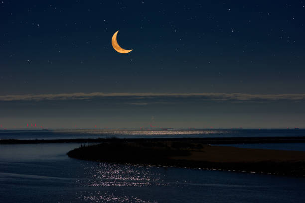 Crescent moon rising over the Tokyo bay area with copy space.