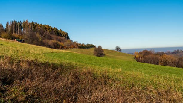 istock Late autumn rolling landscape with meadows, isolated cottage, forest and clear sky 1300942220