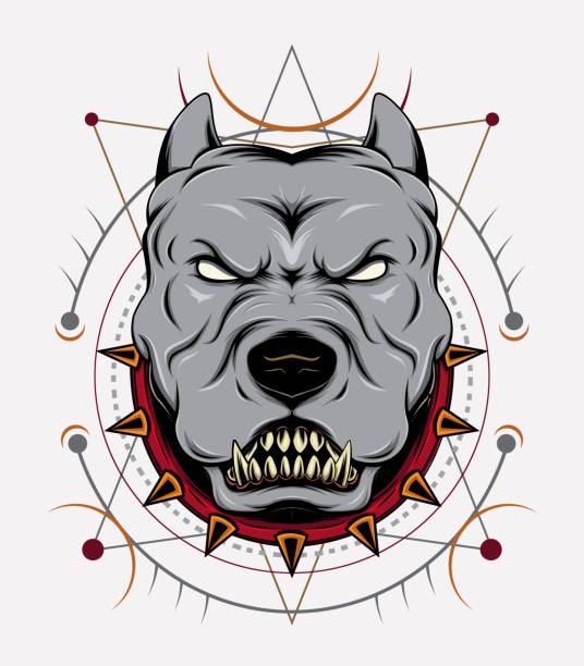 angry dog with sacred background. angry dog with sacred background. pit bull power stock illustrations