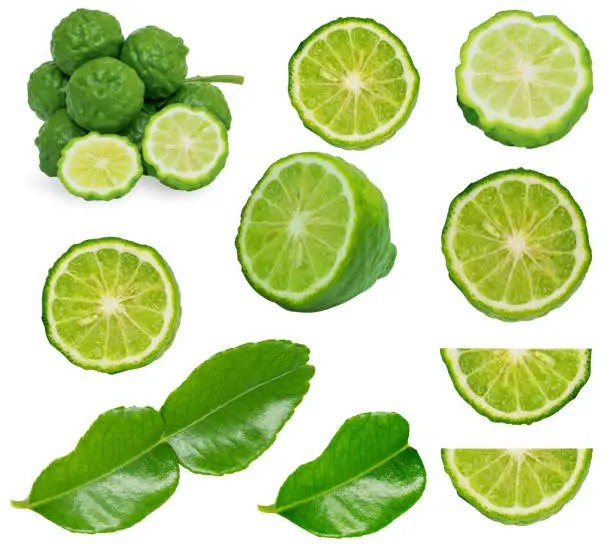 The kaffir lime (bergamot) sliced, bergamot leaves are arranged separately from the white background