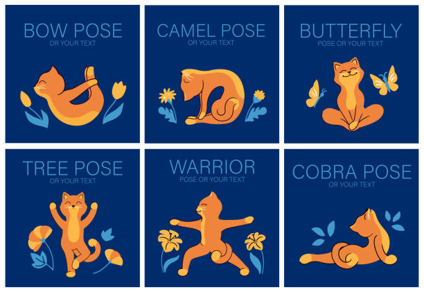 The set of cartoon characters who are doing yoga for healthy lifestyle. The set of cartoon characters who are doing yoga for healthy lifestyle. You can use a set lettering phrase or the custom one/or customize it. The collection of cats is a vector illustration for social media ustrasana stock illustrations