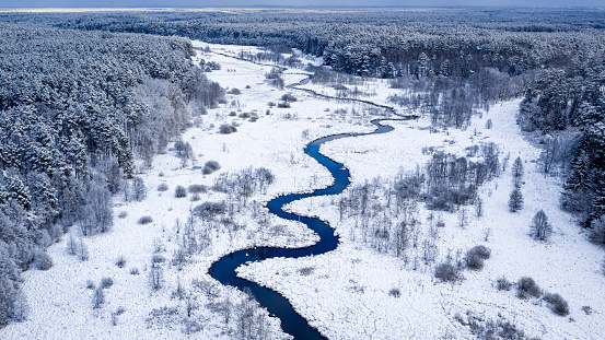 Aerial view of curvy river and forest in winter, Poland, Europe
