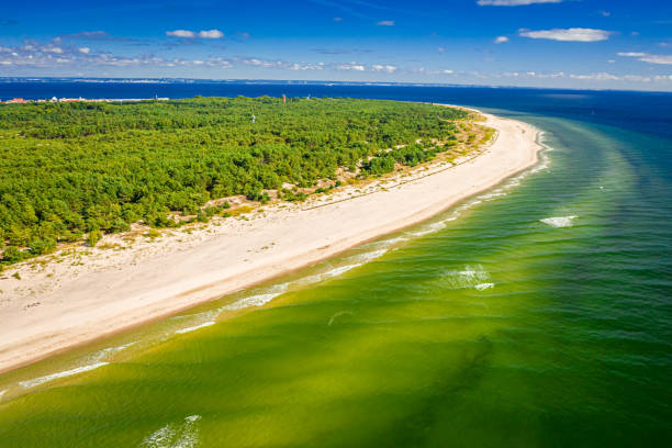 istock Summer beach on peninsula Hel at Baltic Sea in Poland 1300946709