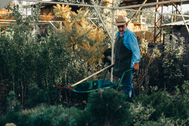 istock man working outdoor in tree nursey 1300946745