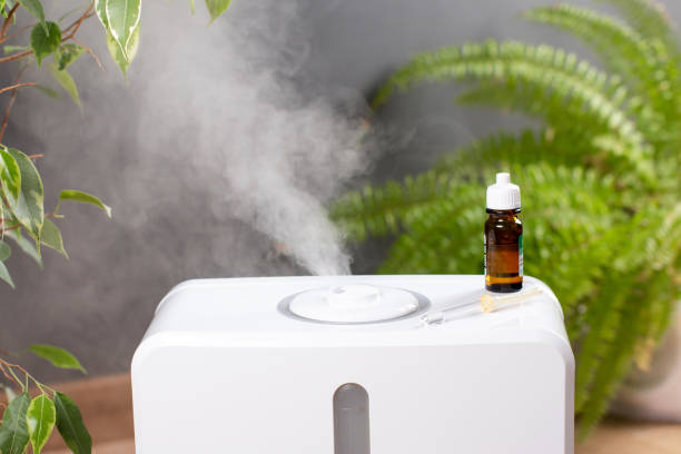 istock Aromatherapy at home. Humidifier in the house. Moisturizing 1300949134