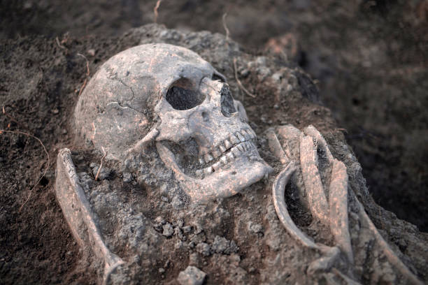 istock Unearthed human remains during archaeological excavation 1300950271