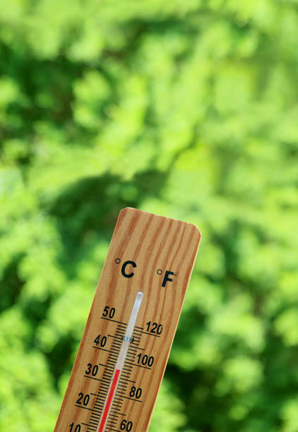 istock Thermometer Showing Temperature at 35 Degrees Celsius against Blurry green foliage 1300950318