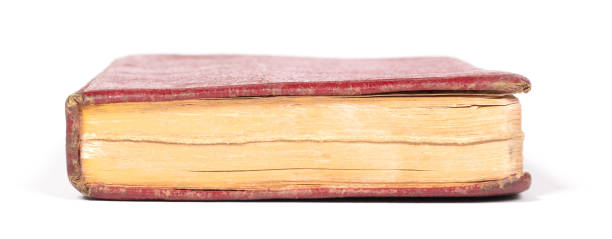 istock Small red book, isolated on a white background 1300952752