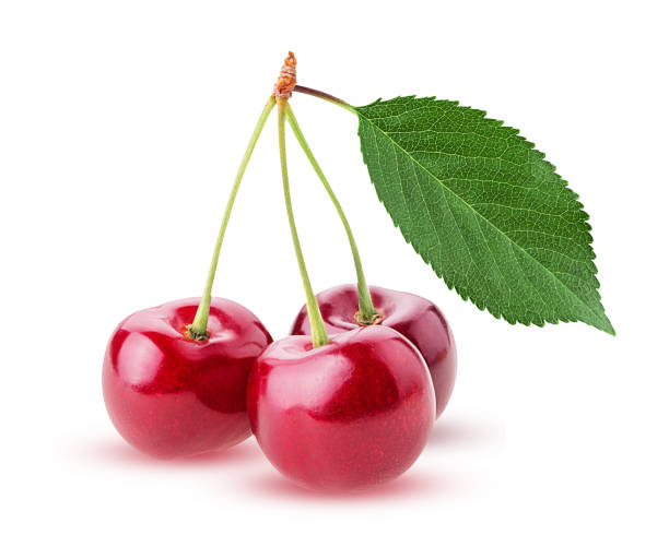istock Sweet cherry berry, three on a branch with leaf 1300954318