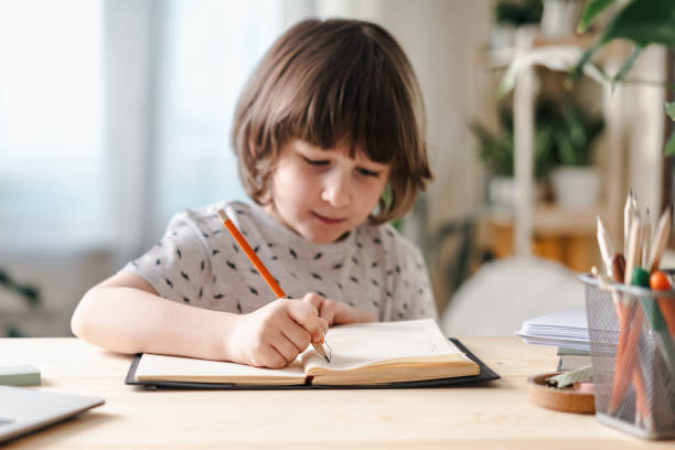 istock Back to school. Boy at home with laptop 1300956351