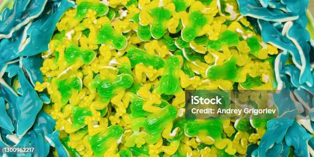 Green And Yellow Gummy Candy Frog And Blue Sharks Stock Photo - Download Image Now - Gummy Candy, Shark, Backgrounds