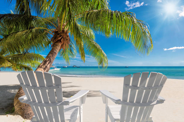 istock Beach chairs on sunny tropical beach 1300963606