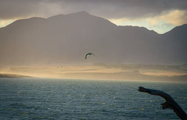 Misty sunset view of Lake Ferry and the Cook Straight, New Zealand