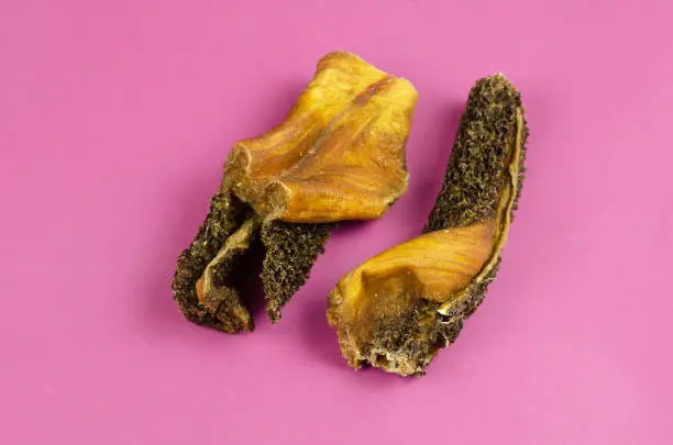 Photo of Natural healthy treats for dogs of premium quality. Dried beef stomach, buffalo tripe on a pink background.