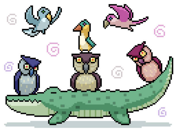 illustrations, cliparts, dessins animés et icônes de ensemble de pixel art groupe d’oiseau amical d’isolement - alligator white background crocodile reptile